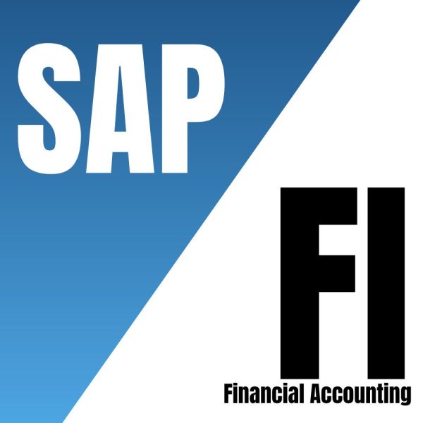 Financial Accounting (FI)